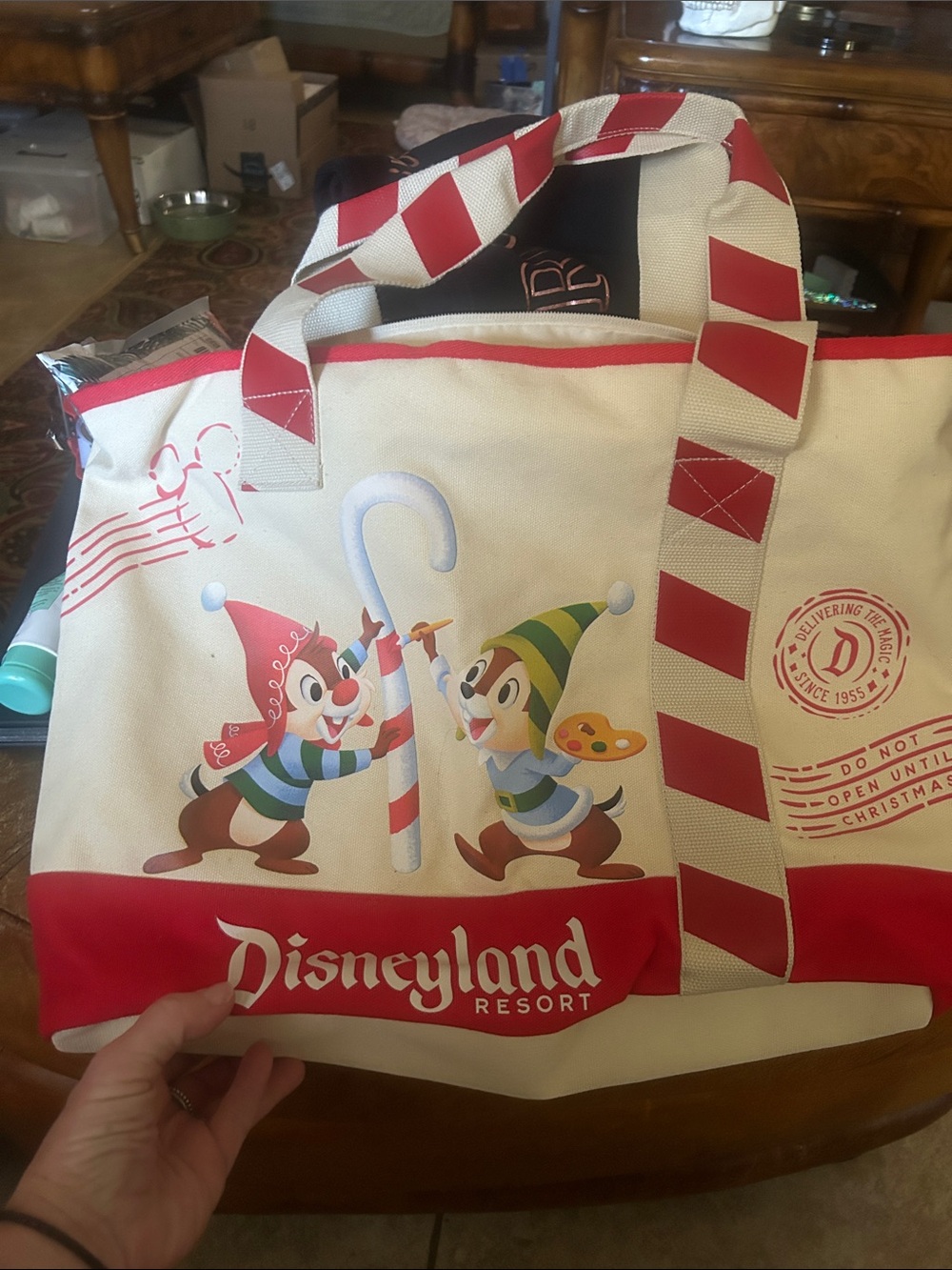 Disney Red & Cream Chip 'n' Dale Holiday Tote
